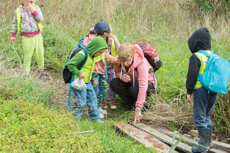 Grow with nature childcare titahi bay