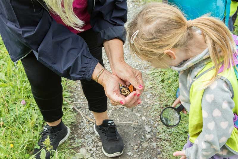 daycare centre lower hutt naenae